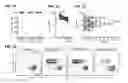 Fig. 02 - Blockade of CD7 expression and chimeric antigen receptors for immunotherapy of T-cell malignancies