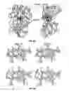 Fig. 08 - MULTIVALENT MEDITOPES, MEDITOPE-BINDING ANTIBODIES AND USES THEREOF