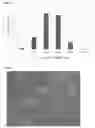 Fig. 02 - Method for preparing a cellulose sponge