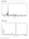 Fig. 08 - Phosphor