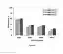 Fig. 17 - Mesoporous composite of molecular sieves for hydrocracking of heavy crude oils and residues