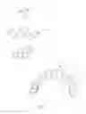 Fig. 08 - Molding system for fungal structures