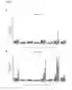 Fig. 08 - Corneal epithelioid cells derived from surface ectodermal cells
