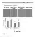 Fig. 09 - Intervention for tendinopathy