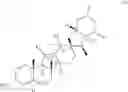 Fig. 33 - Engineered biocatalysts and methods for synthesizing chiral amines