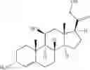 Fig. 50 - Engineered biocatalysts and methods for synthesizing chiral amines