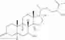 Fig. 55 - Engineered biocatalysts and methods for synthesizing chiral amines