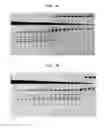 Fig. 02 - High fidelity restriction endonucleases