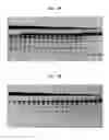 Fig. 03 - High fidelity restriction endonucleases