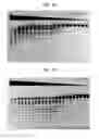 Fig. 06 - High fidelity restriction endonucleases