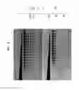 Fig. 09 - High fidelity restriction endonucleases
