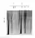 Fig. 12 - High fidelity restriction endonucleases