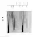 Fig. 15 - High fidelity restriction endonucleases