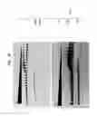 Fig. 17 - High fidelity restriction endonucleases
