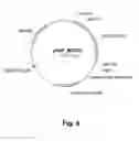 Fig. 06 - Polypeptides having endoglucanase activity and polynucleotides encoding same
