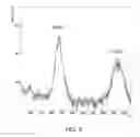 Fig. 06 - Stabilized α-galactosidase and uses thereof