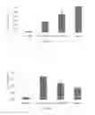 Fig. 35 - Stabilized α-galactosidase and uses thereof