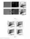 Fig. 03 - Method for modifying human cell lines to produce factor VII