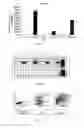 Fig. 06 - Method for modifying human cell lines to produce factor VII