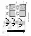 Fig. 02 - COMPOSITES MATERIAL WITH SUSPENDED PARTICLES AND METHOD OF USING THE SAME