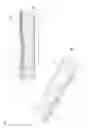 Fig. 03 - Electrophoresis assisted method for purifying a target nucleic acid using a delayed elution approach