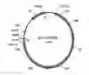 Fig. 02 - Mutant having ability to overproduce carotenoids and method for producing carotenoids by using same