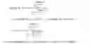 Fig. 12 - Engineered bacteria for production and release of therapeutics