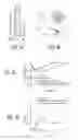 Fig. 14 - Engineered bacteria for production and release of therapeutics