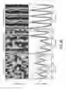 Fig. 40 - Engineered bacteria for production and release of therapeutics