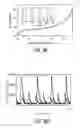 Fig. 43 - Engineered bacteria for production and release of therapeutics