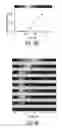 Fig. 45 - Engineered bacteria for production and release of therapeutics