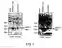Fig. 08 - Method of meristem excision and transformation