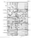 Fig. 08 - METHODS OF MODIFYING OIL CONTENT IN PLANTS AND PLANTS PRODUCED THEREBY