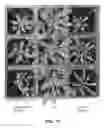 Fig. 18 - METHODS OF MODIFYING OIL CONTENT IN PLANTS AND PLANTS PRODUCED THEREBY
