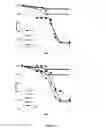 Fig. 07 - Down-regulating gene expression in insect plants