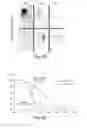 Fig. 10 - CNS TARGETING AAV VECTORS AND METHODS OF USE THEREOF