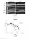 Fig. 12 - CNS TARGETING AAV VECTORS AND METHODS OF USE THEREOF