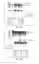 Fig. 22 - CNS TARGETING AAV VECTORS AND METHODS OF USE THEREOF