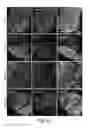 Fig. 34 - CNS TARGETING AAV VECTORS AND METHODS OF USE THEREOF