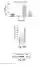 Fig. 43 - CNS TARGETING AAV VECTORS AND METHODS OF USE THEREOF