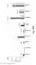 Fig. 46 - CNS TARGETING AAV VECTORS AND METHODS OF USE THEREOF
