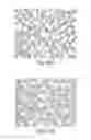 Fig. 47 - CNS TARGETING AAV VECTORS AND METHODS OF USE THEREOF
