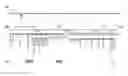 Fig. 01 - Recombinant Orf virus vector