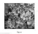Fig. 06 - Bacterially induced crystal particle, thermal conductive material and method for manufacturing bacterially induced crystal particle
