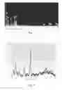 Fig. 07 - Bacterially induced crystal particle, thermal conductive material and method for manufacturing bacterially induced crystal particle