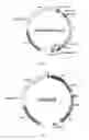 Fig. 06 - KAS-III free FA synthesis