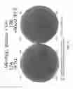 Fig. 09 - KAS-III free FA synthesis