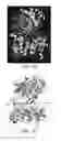Fig. 17 - Enzymes and applications thereof
