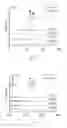 Fig. 04 - Oligosaccharide libraries and methods of production