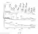 Fig. 08 - Oligosaccharide libraries and methods of production